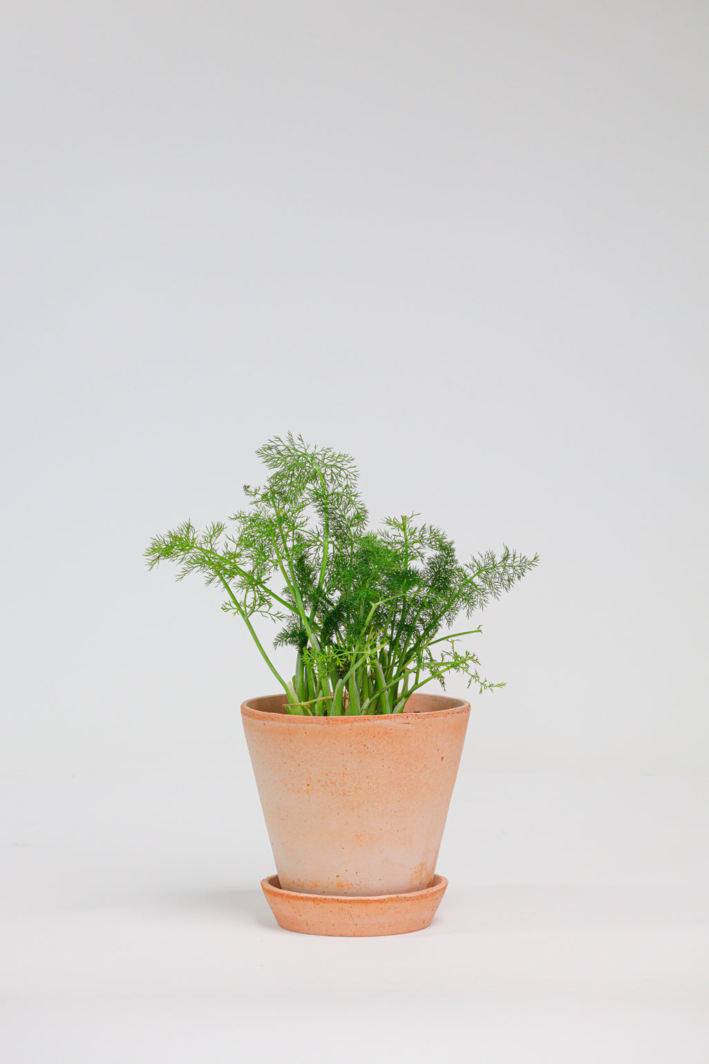 products/SotoProductShootLowQ-1709.jpg